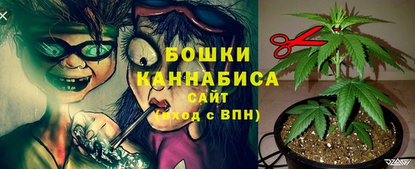 стафф Верея